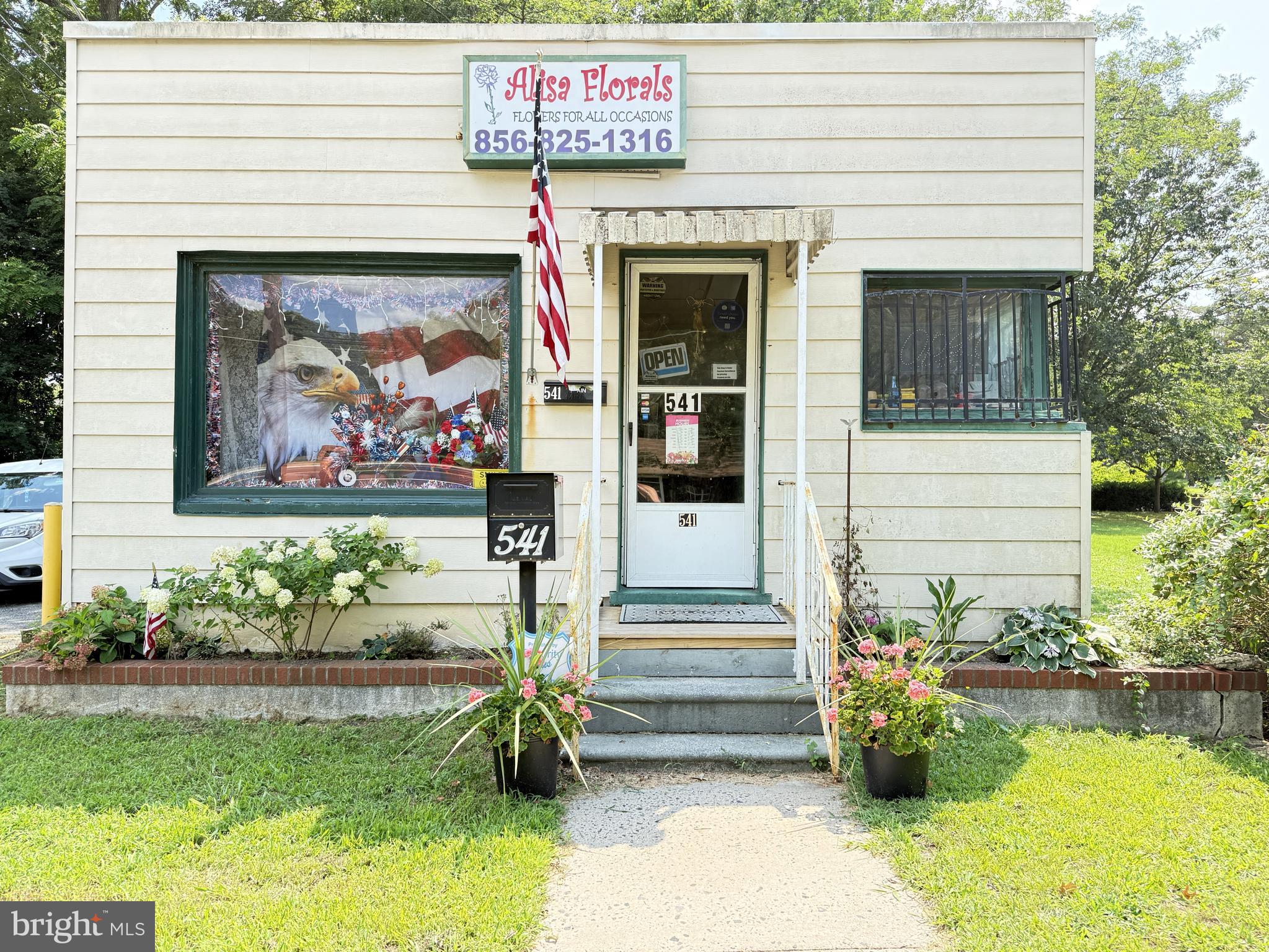 Main image without alt text