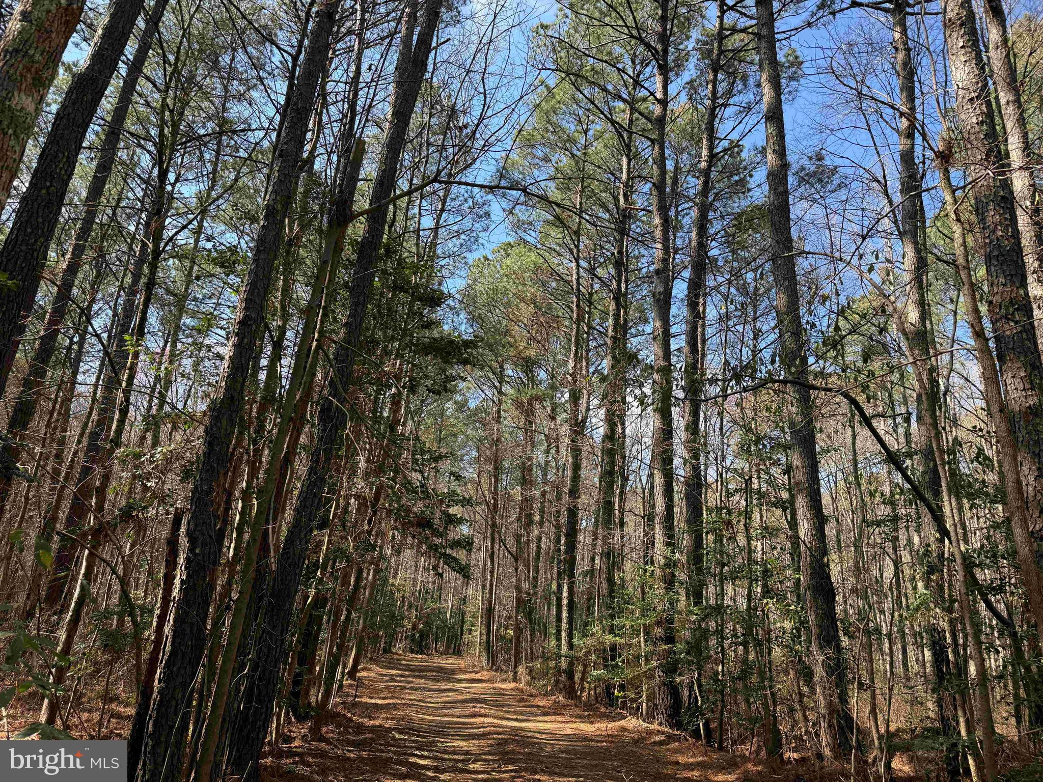 OFF RT. 14 (TRACT TANAGER ET2-2031)