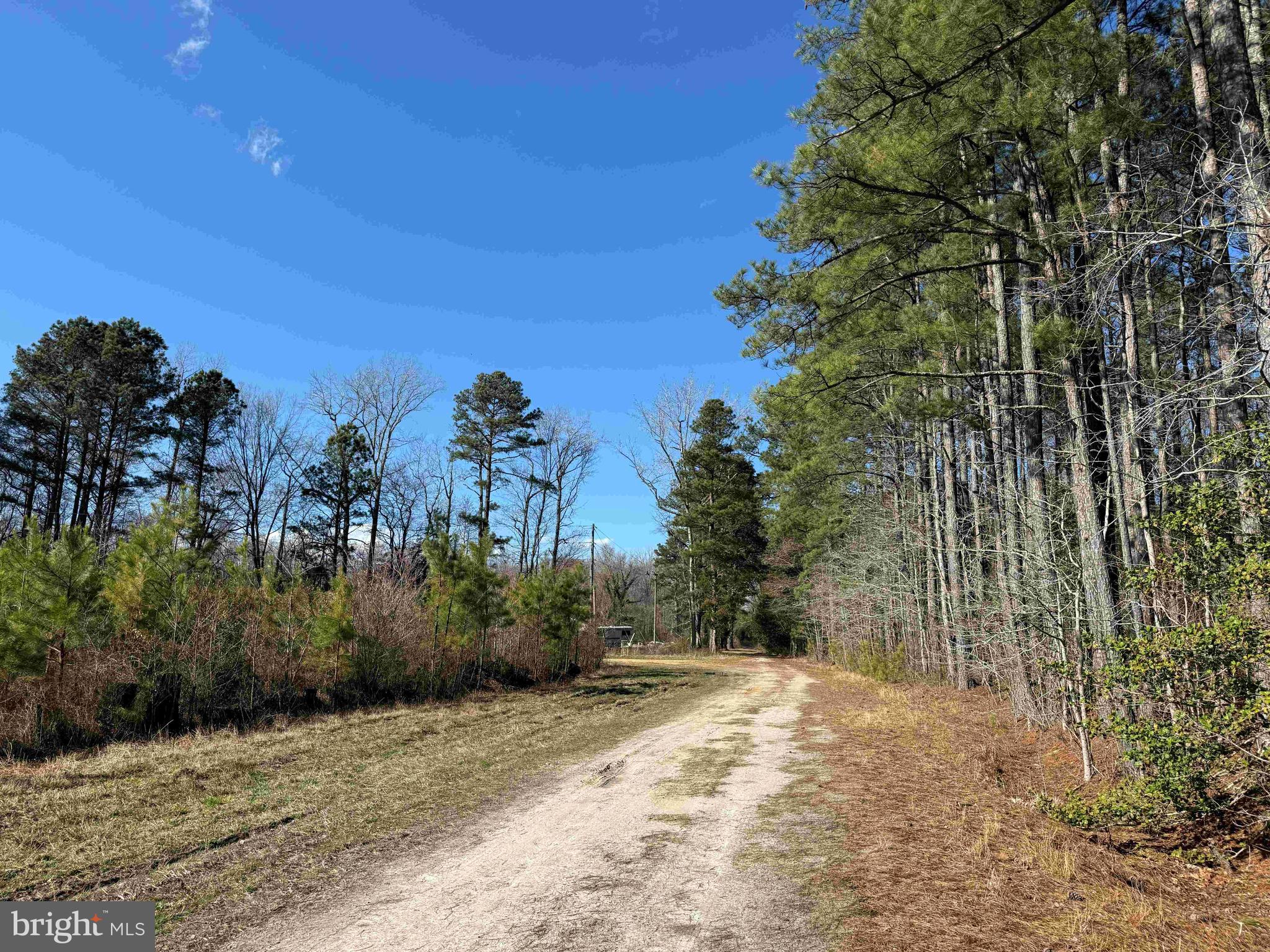 OFF RT. 14 (TRACT TANAGER ET2-2031)