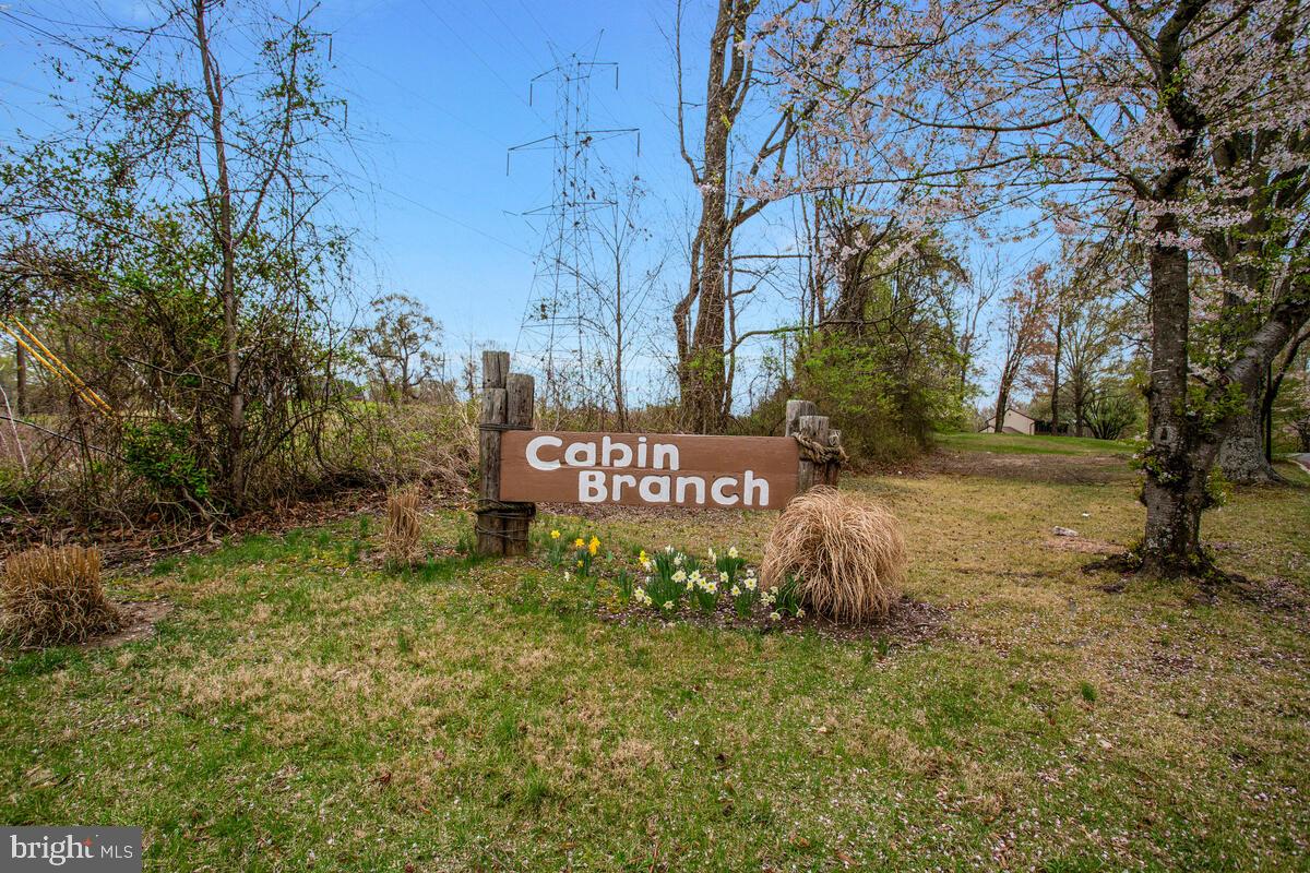 CABIN BRANCH ACRES - Residential