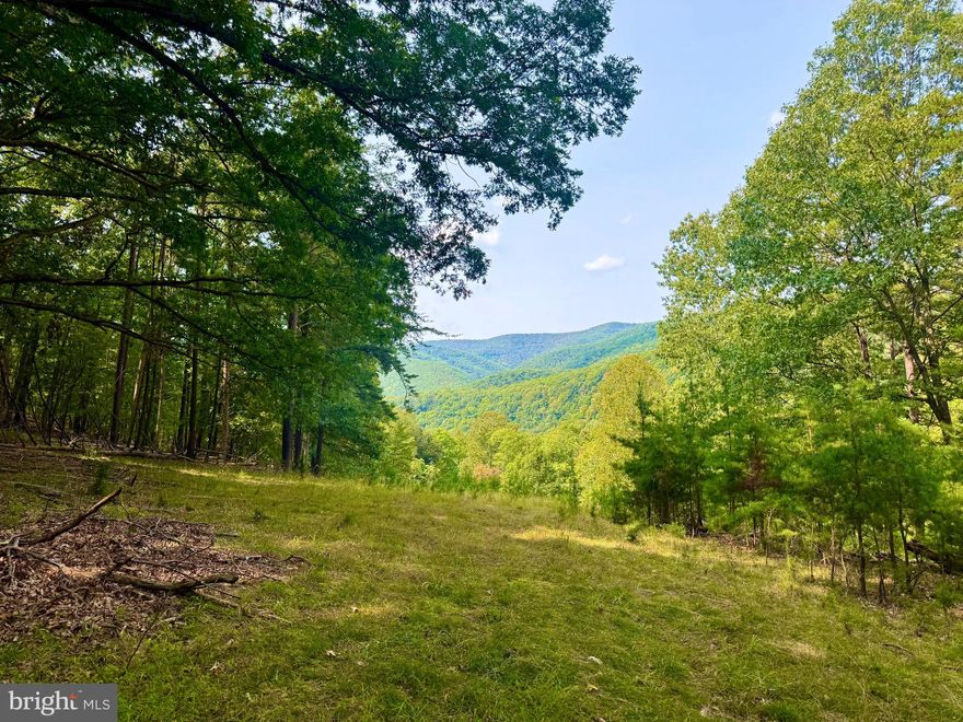 In Seneca Rocks, a rare opportunity awaits, offering 35+ acres of land for purchase, featuring a charming 1930-built home perfect for hunting enthusiasts. With 1377 square feet, 2 bedrooms, and a full bath, this property also boasts electric, well water, wifi, and a shared spring, surrounded by mature timber with nature's edible treats for local wildlife. A scenic water crossing provides access, making this a secluded mountain retreat.