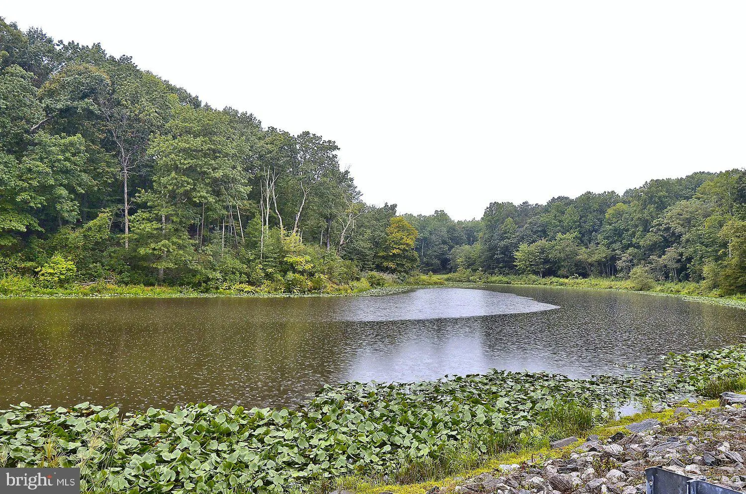 Additional image 181 of 2590 Bell Creek Drive, Davidsonville, MD 21035
