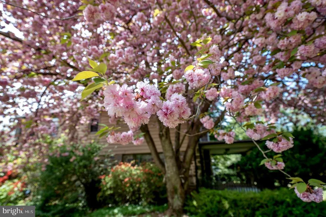 Villanova, Pennsylvania 19085, United States, 4 Bedrooms Bedrooms, ,3 BathroomsBathrooms,Residential,Pending,143732