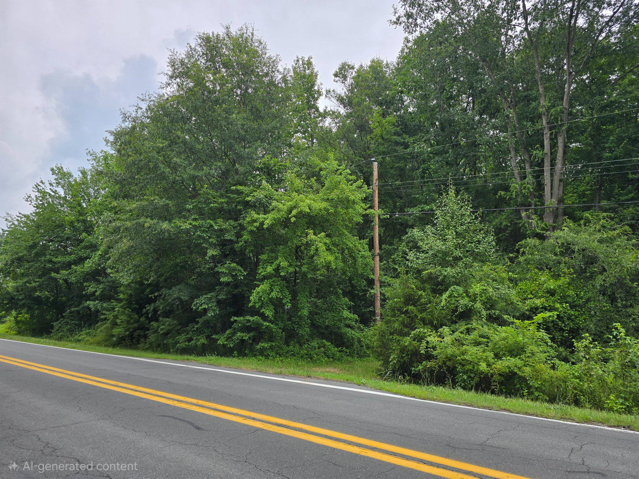 1399 LONGRIDGE ROAD