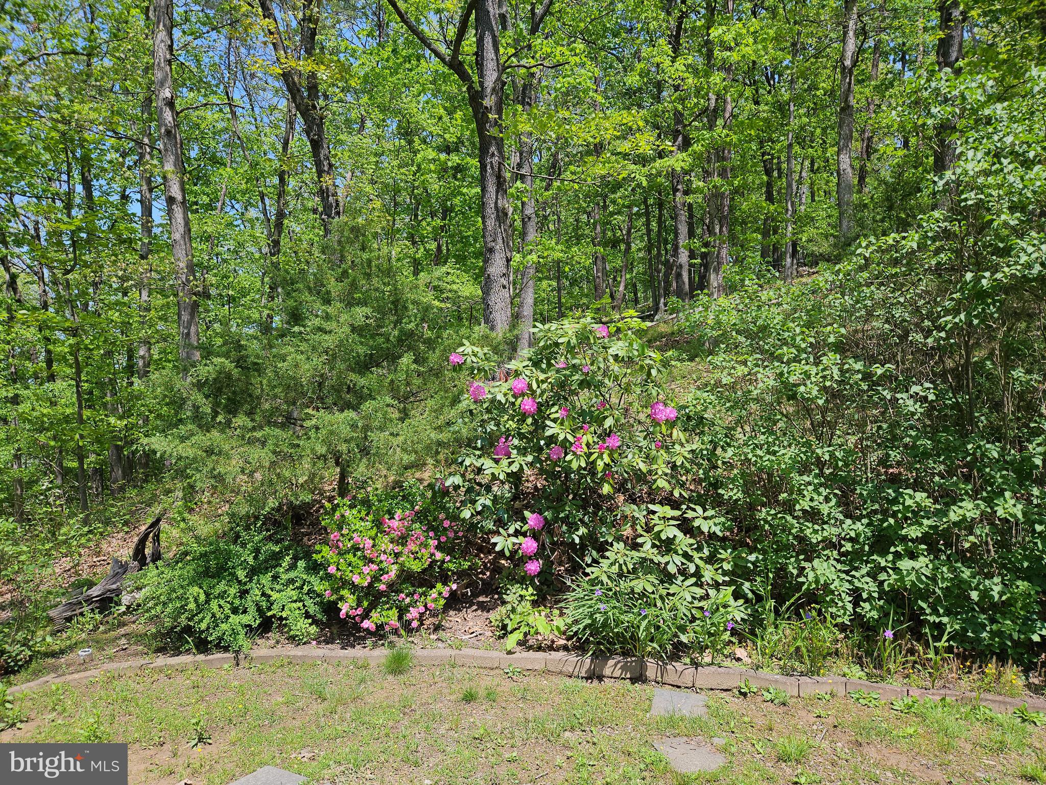 DOWDEN ADDITION - Residential