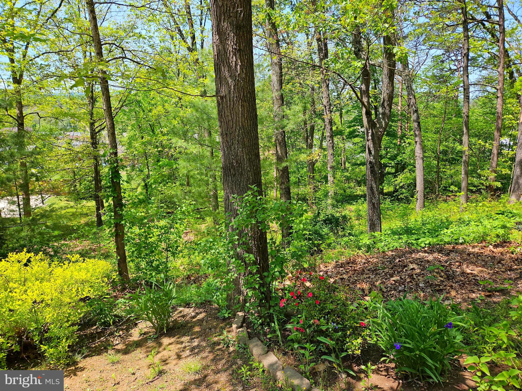 DOWDEN ADDITION - Residential