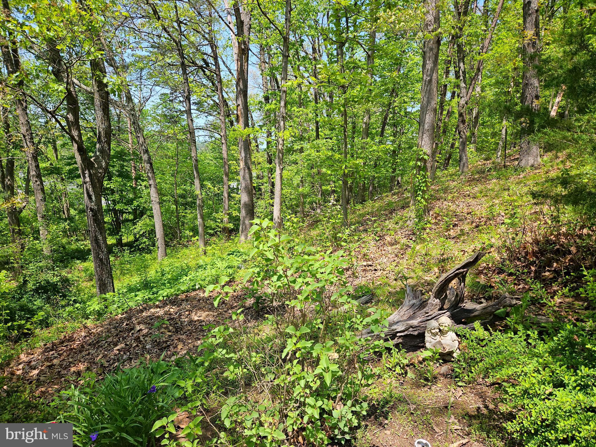 DOWDEN ADDITION - Residential