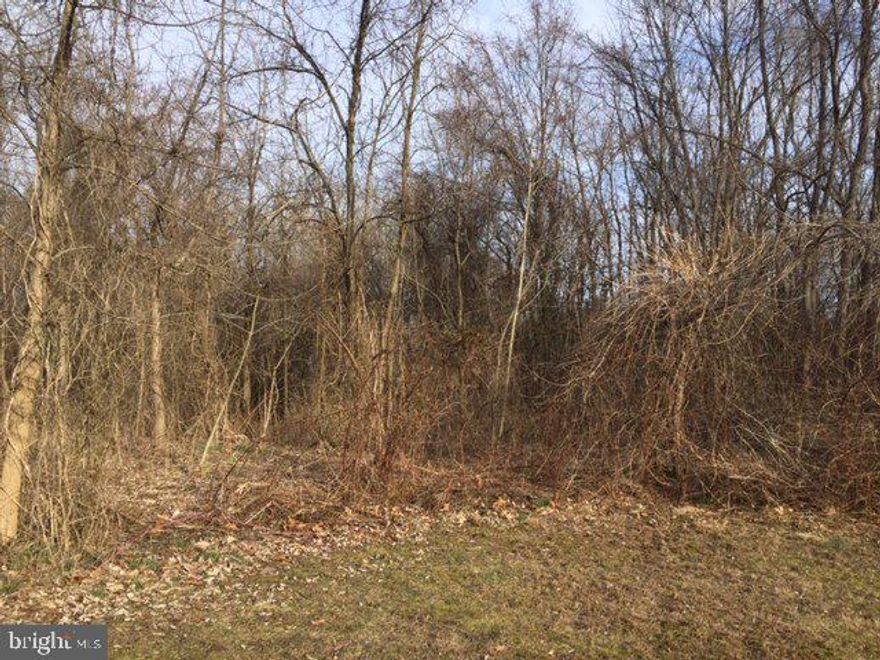 5 wooded acres bordering the Thompsontown Line on a back street.  Perfect site to build your dream home...Public Water and Sewer maybe available. Priced to sell, Call today!