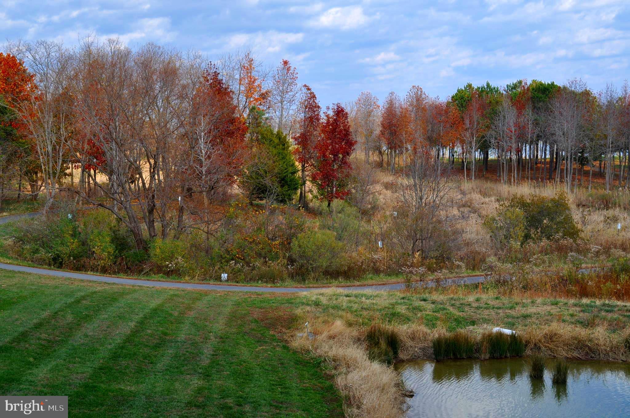 FOUR SEASONS AT KENT ISLAND - Residential