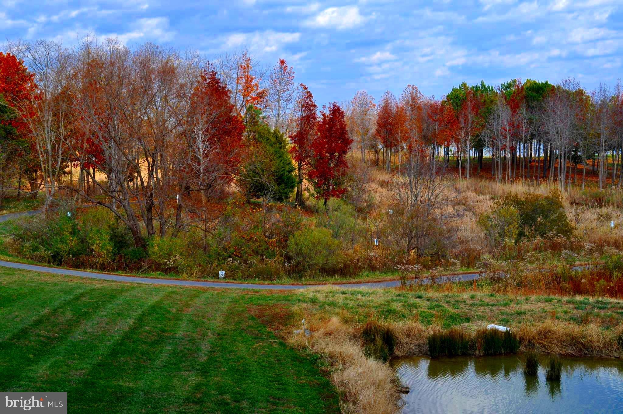 FOUR SEASONS AT KENT ISLAND - Residential
