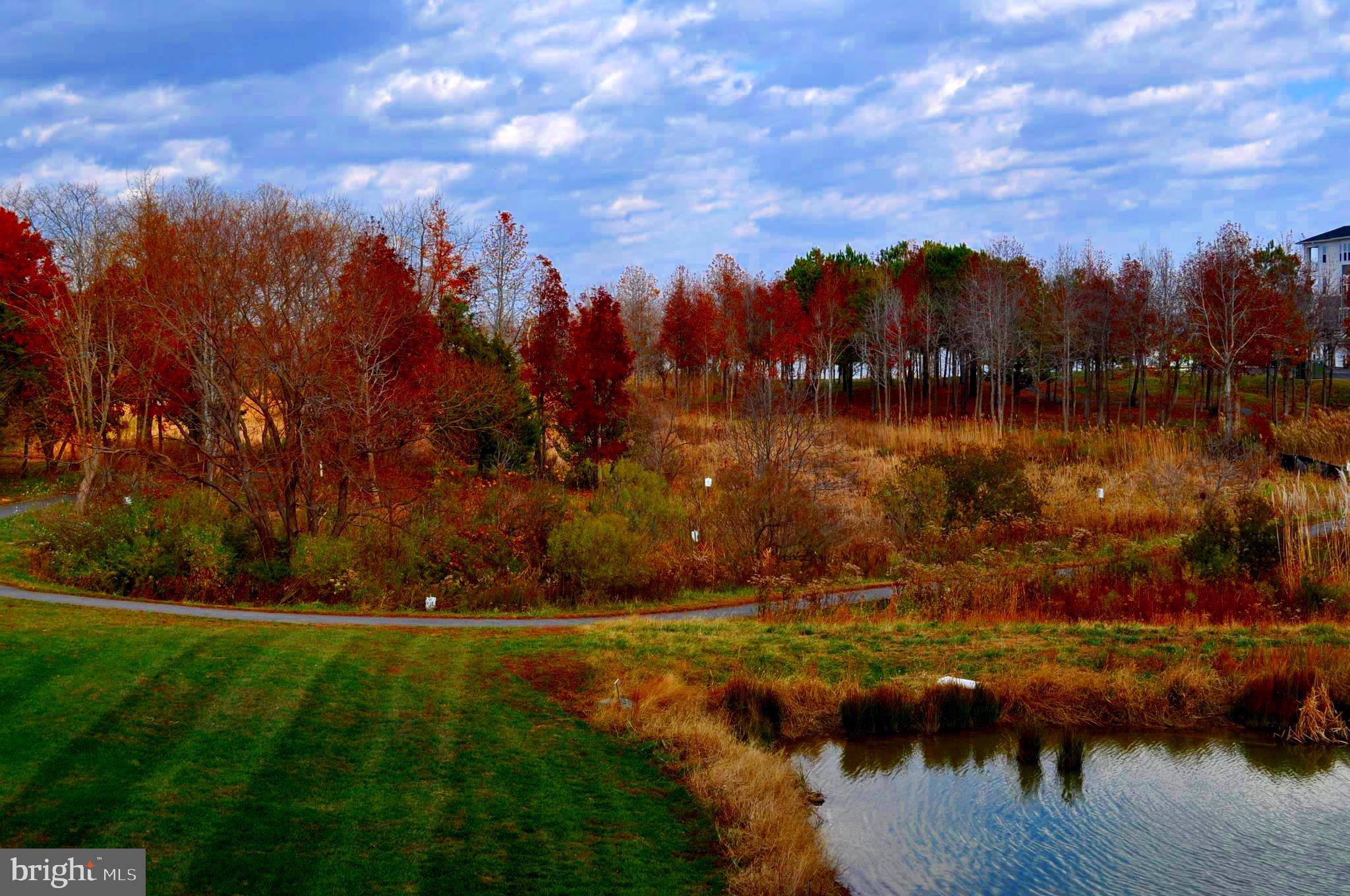 FOUR SEASONS AT KENT ISLAND - Residential