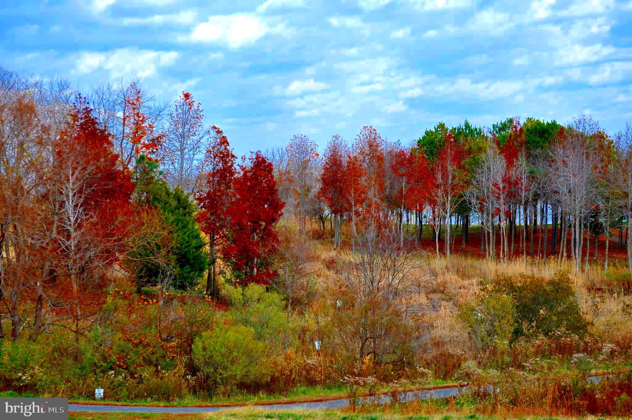 FOUR SEASONS AT KENT ISLAND - Residential