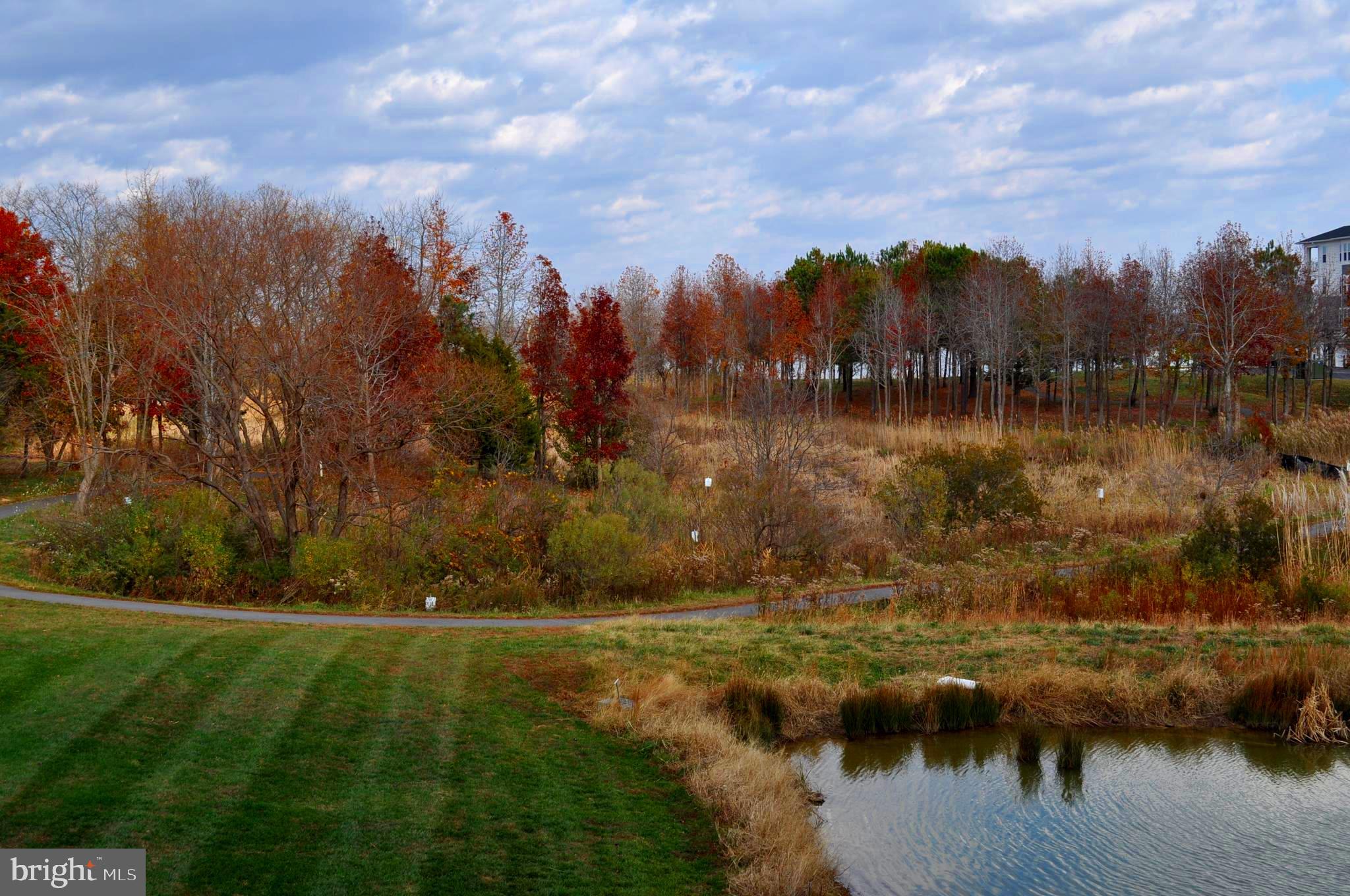 FOUR SEASONS AT KENT ISLAND - Residential