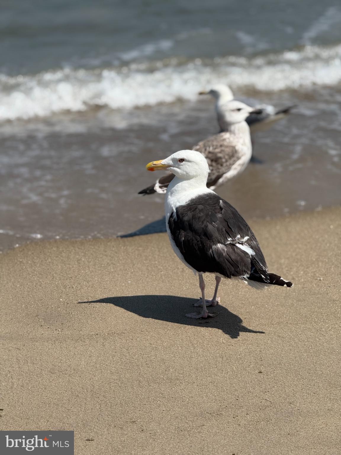 210 SE CARTER AVENUE