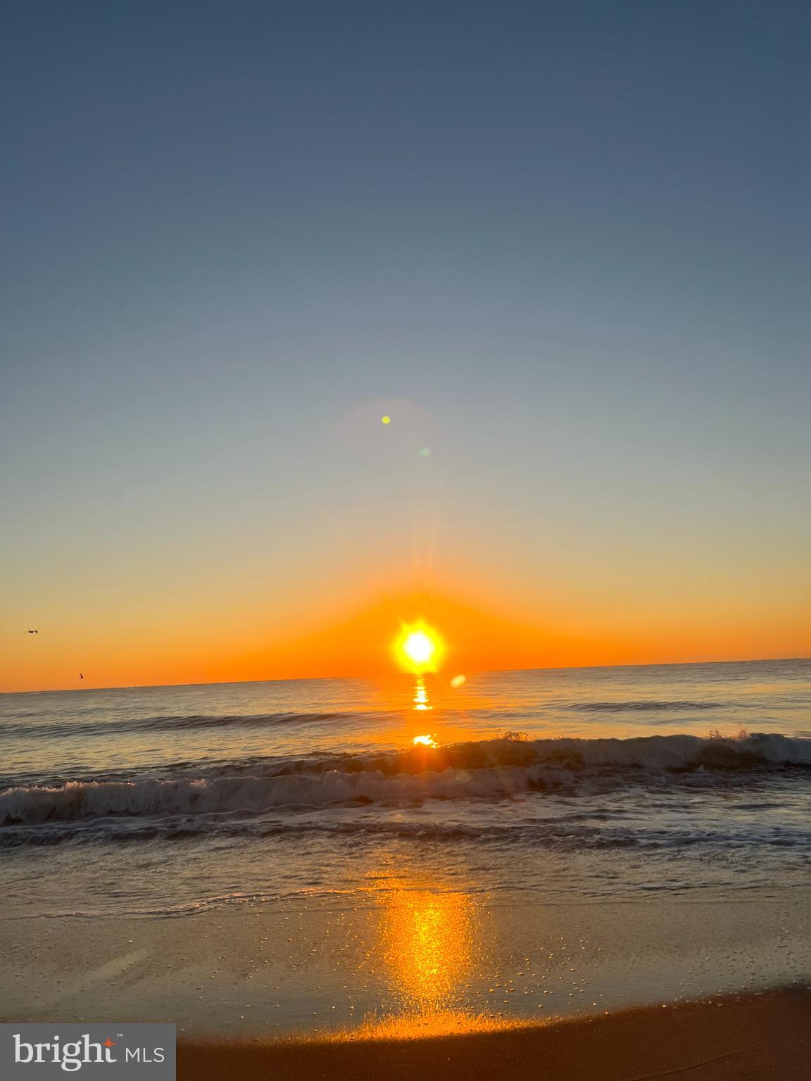 210 SE CARTER AVENUE