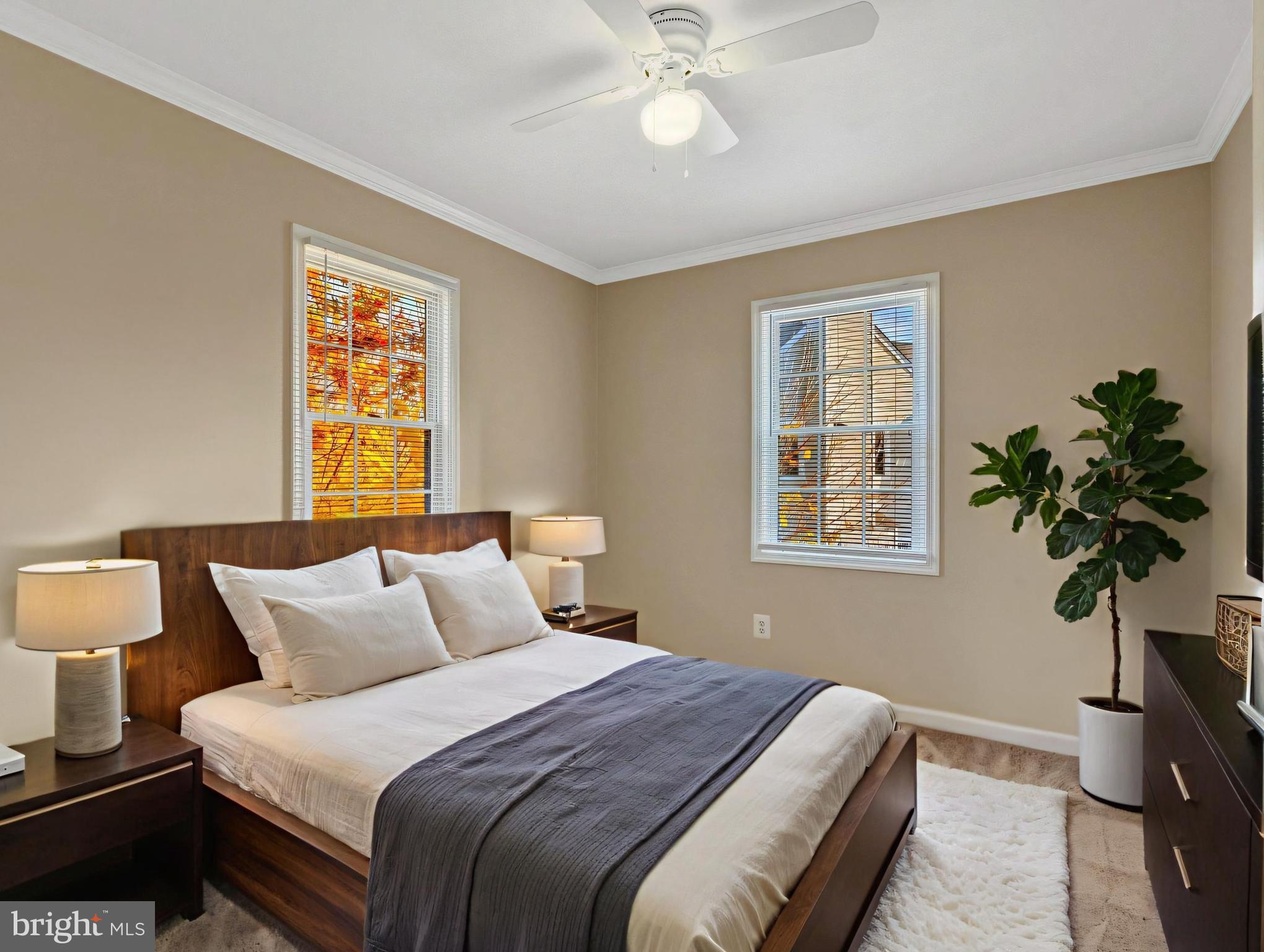 WINDING BROOK - Residential