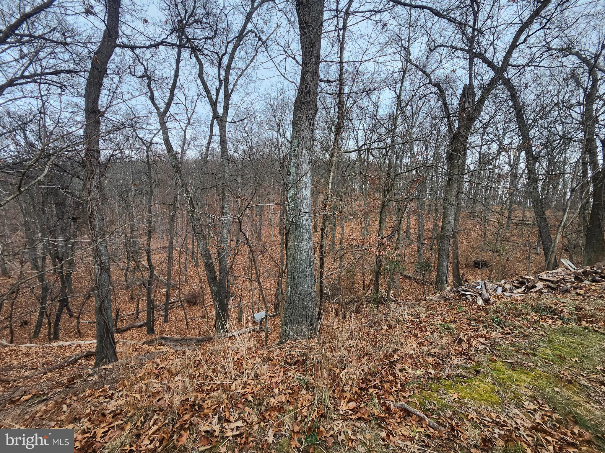 TOWN HILL RANCHES - Residential