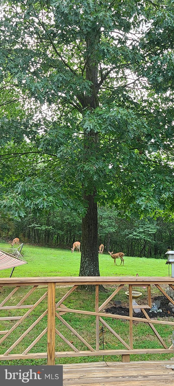 BERKELEY COUNTY - Residential