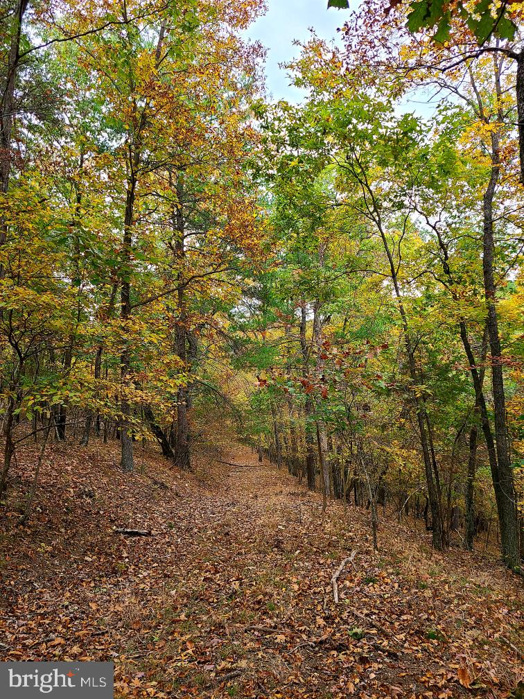 BERKELEY COUNTY - Residential
