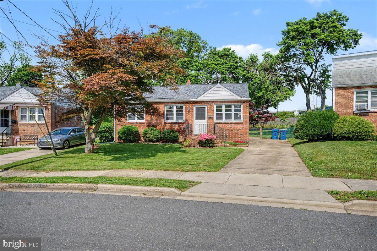 211 DUMONT ROAD