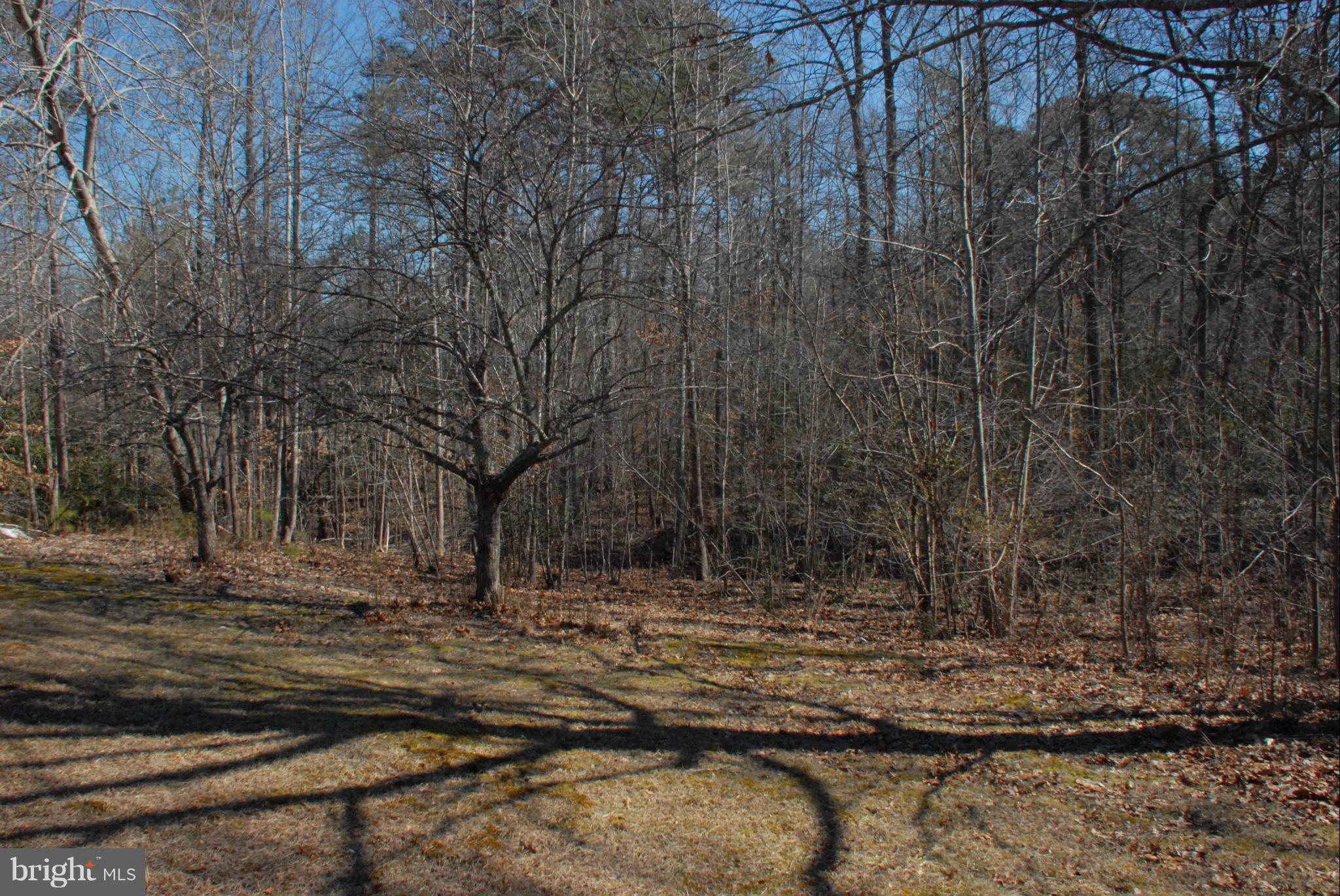 HOPTON PARK - Residential