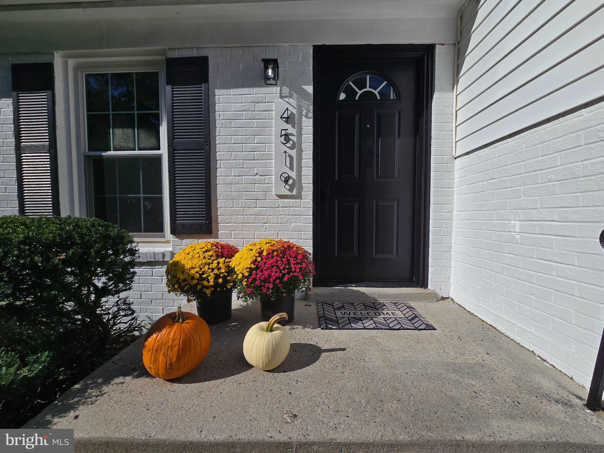 4519 BIRCHTREE LANE