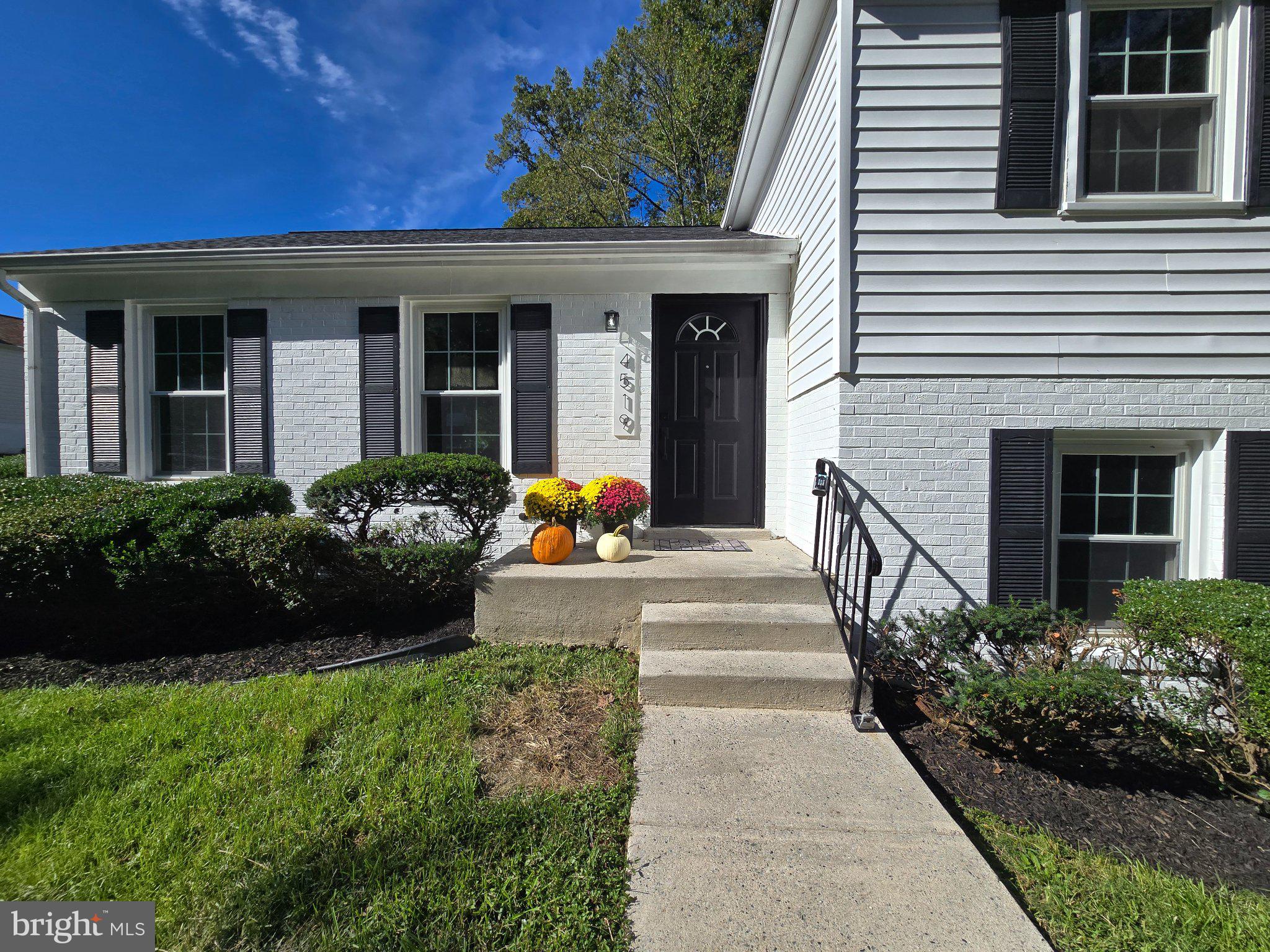 4519 BIRCHTREE LANE