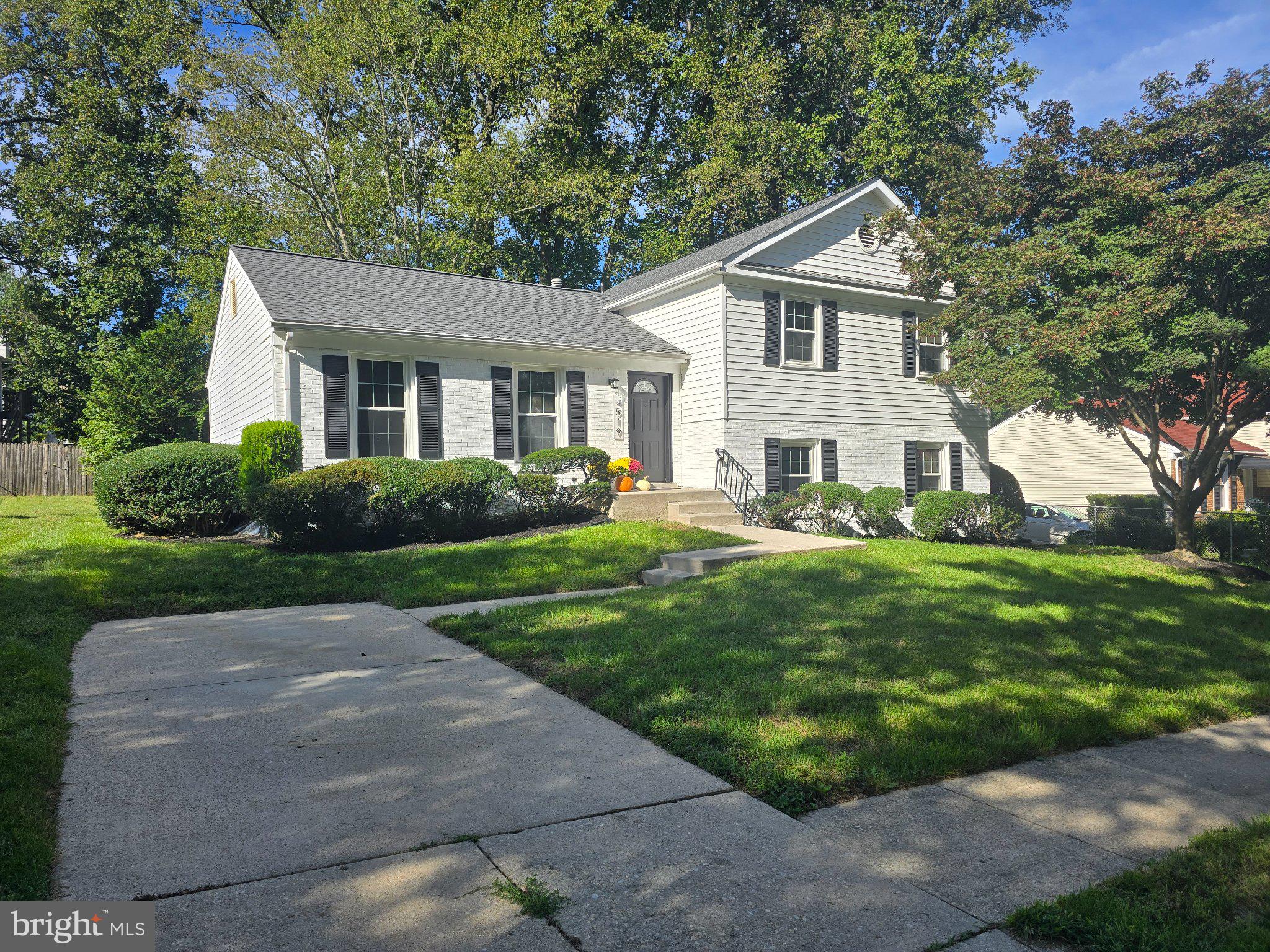 4519 BIRCHTREE LANE