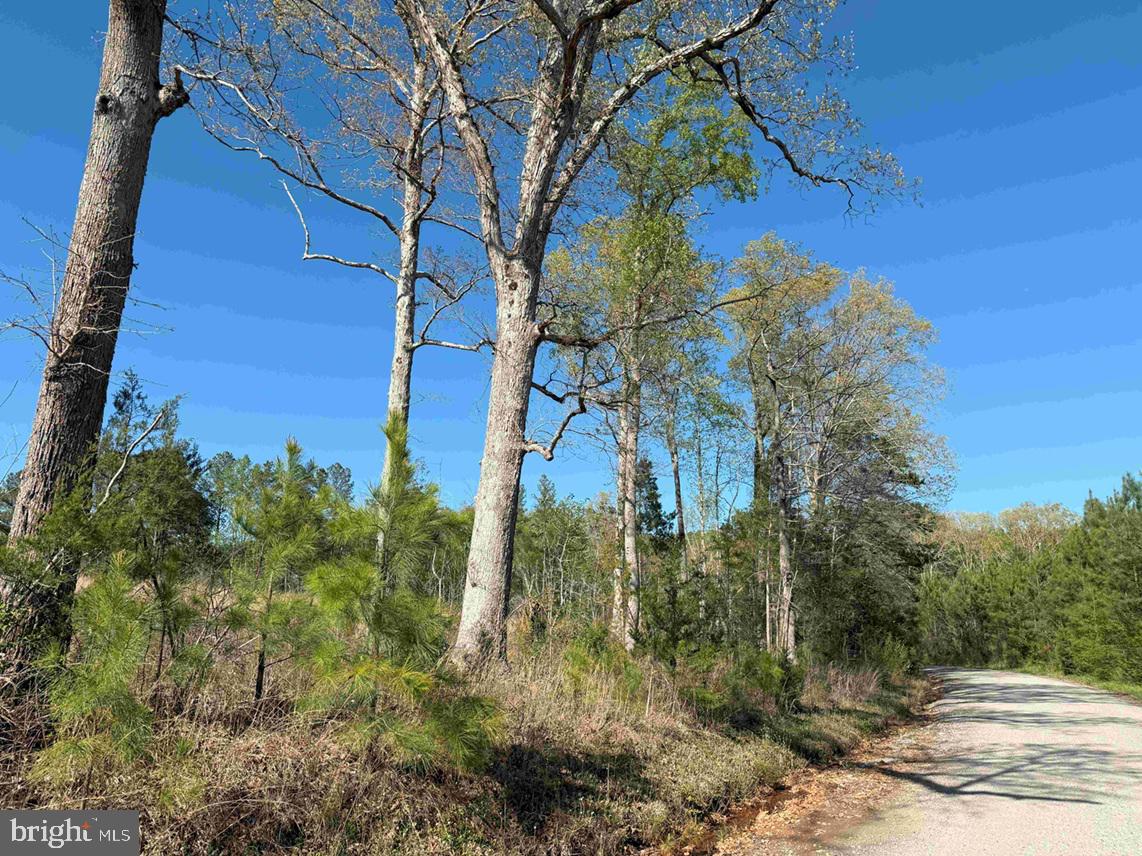CHERRY HILL RD. (RT. 609) (TRACT:7266 D. PLECKLER)