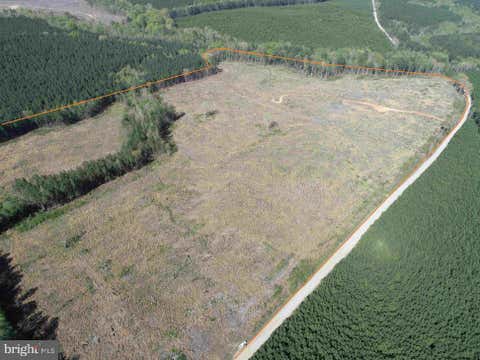 Vacant Land For Sale - Cherry Hill Rd. (rt. 609) (tract:7266 D. Pleckler)<br/> MC KENNEY, VA 23872