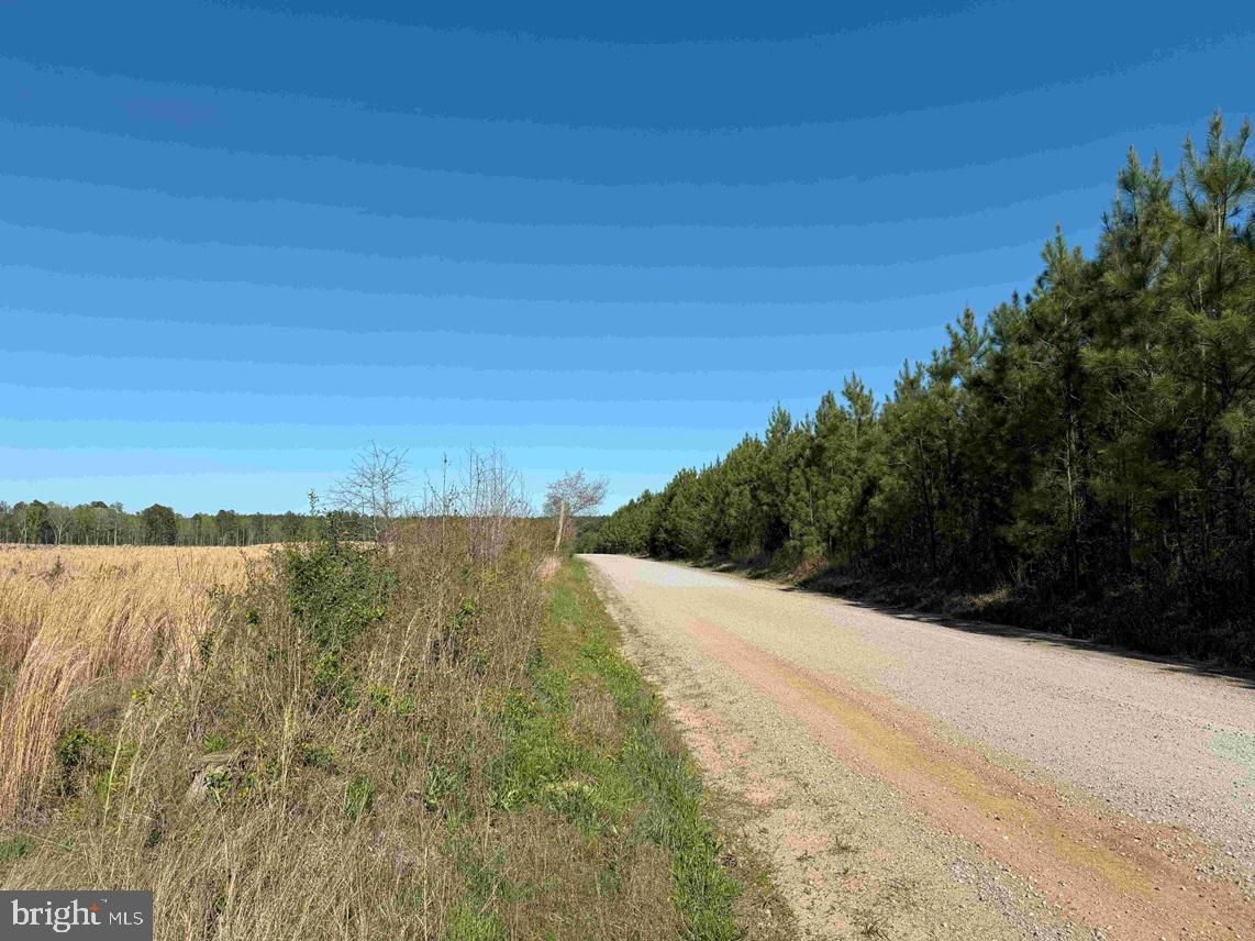 CHERRY HILL RD. (RT. 609) (TRACT:7266 D. PLECKLER)