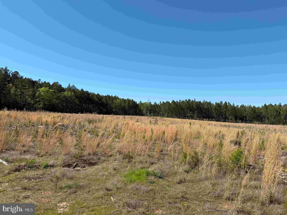 CHERRY HILL RD. (RT. 609) (TRACT:7266 D. PLECKLER)