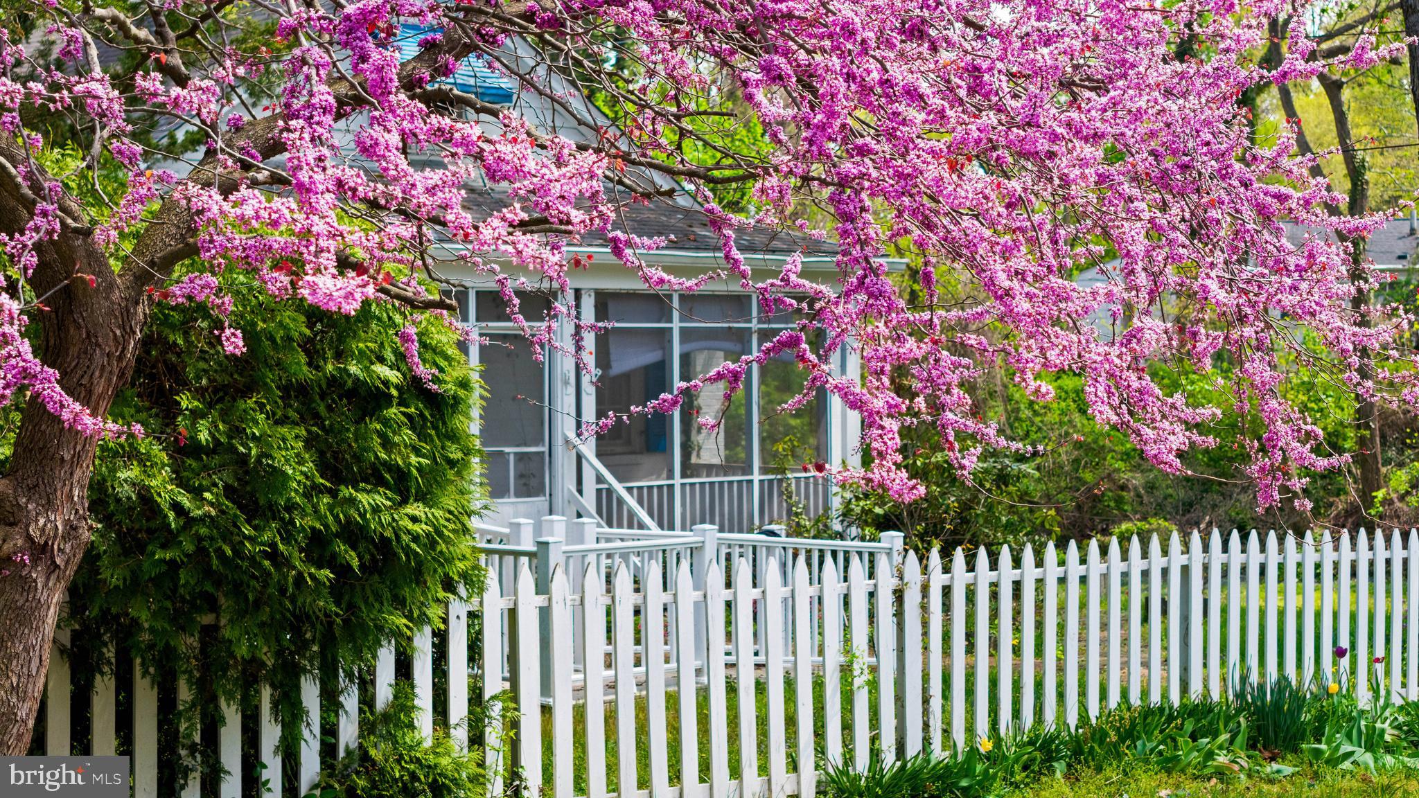 WEST ANNAPOLIS - Residential