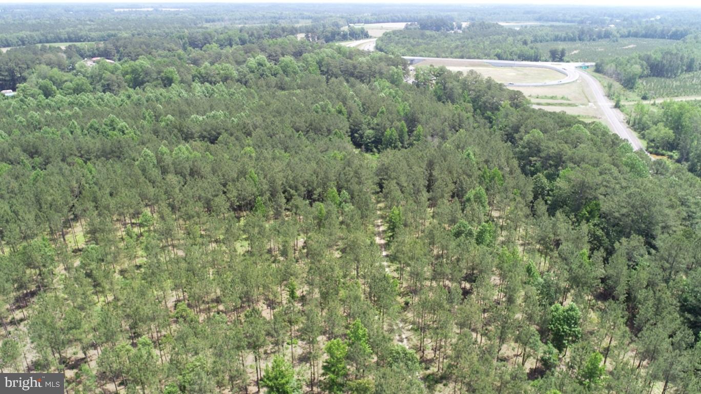 OLD BRIDGE ROAD (RT. 742) (TRACT: BLOCK 16 NORTH)