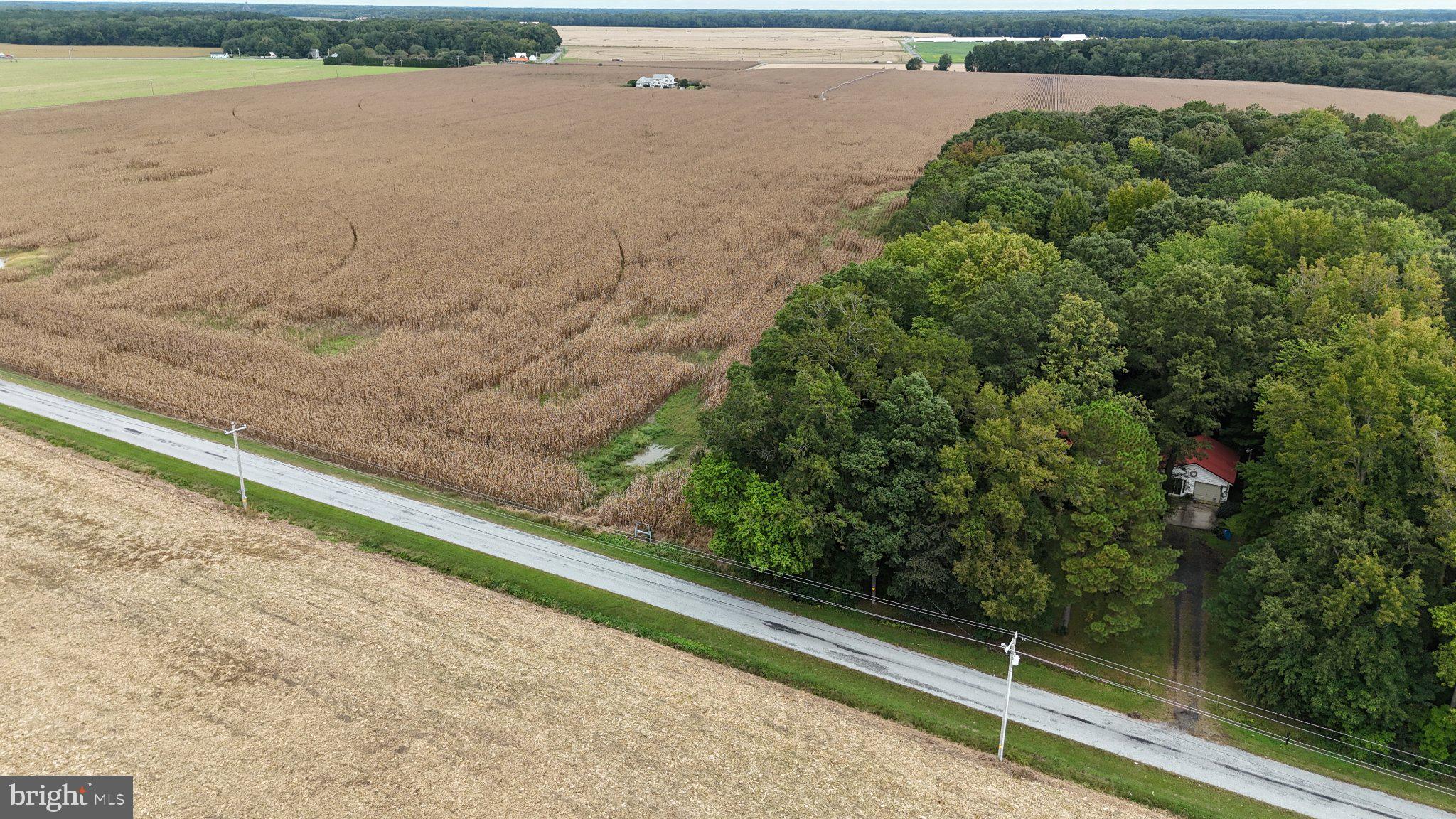 26125 OLD CARRIAGE ROAD