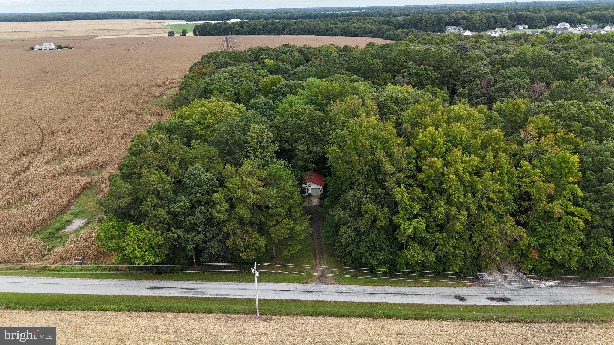 26125 OLD CARRIAGE ROAD