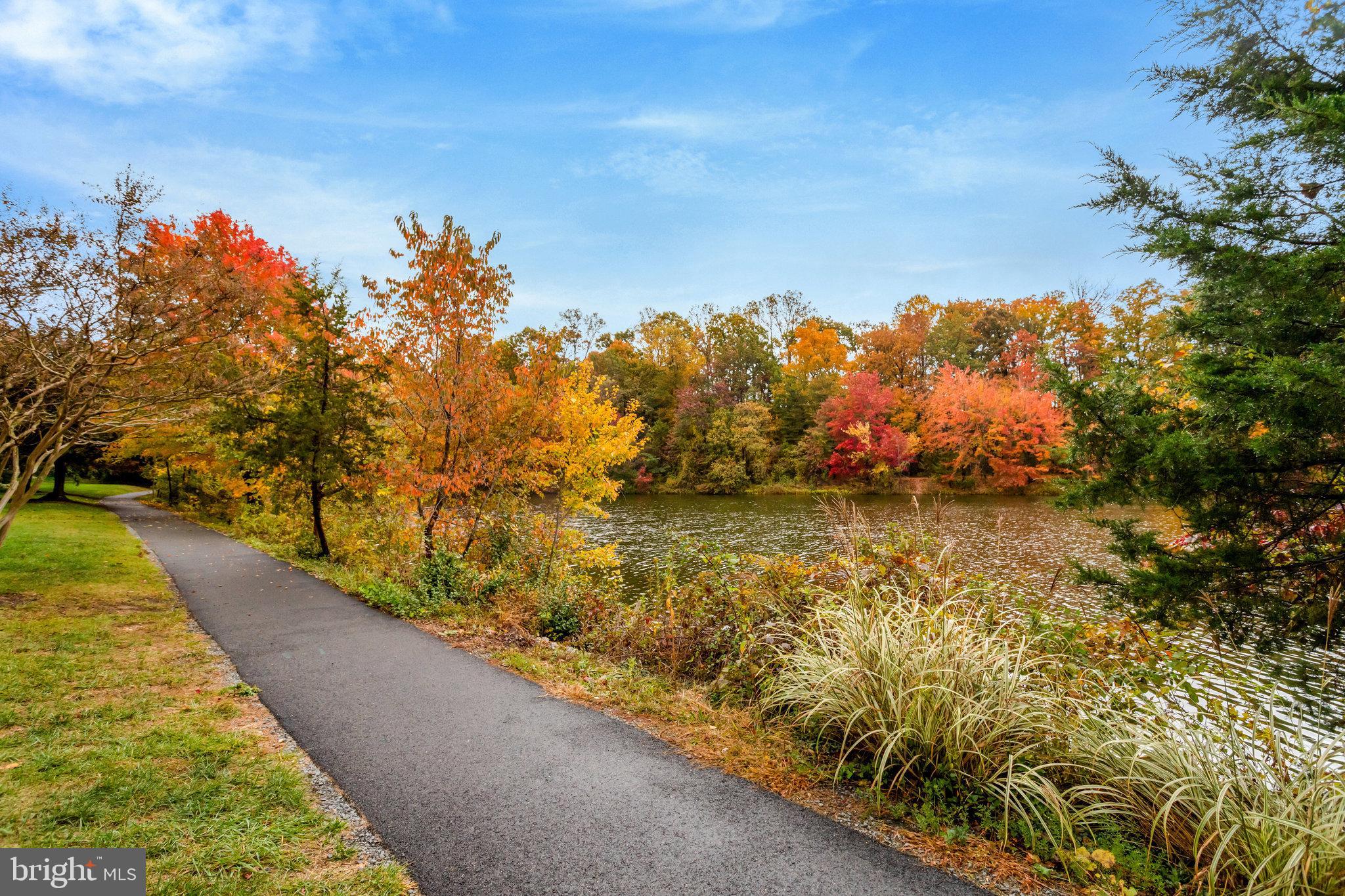 CHANCERY OF KINGSTOWNE - Residential