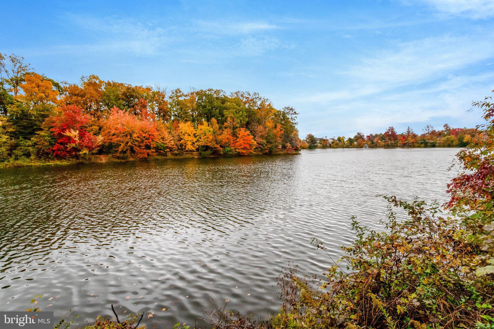 CHANCERY OF KINGSTOWNE - Residential