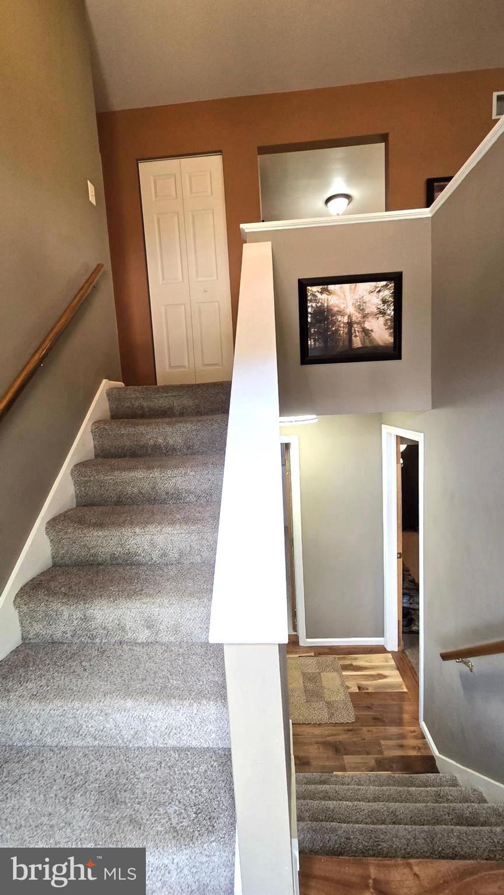 Photo of 40 Homestead Drive, DENVER, PA 17517 (MLS # PALA2069756)