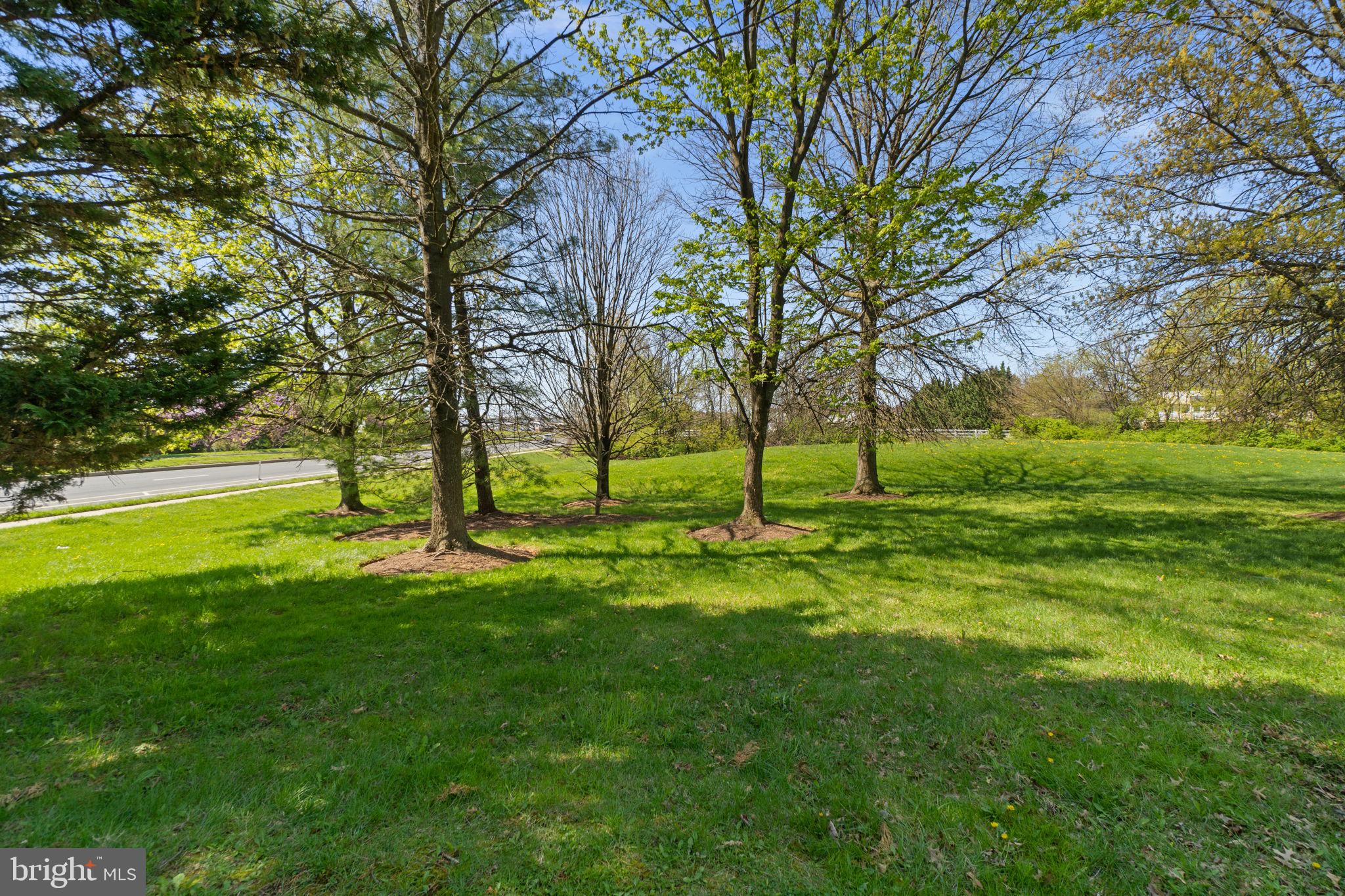 ROBIN MEADOWS - Residential