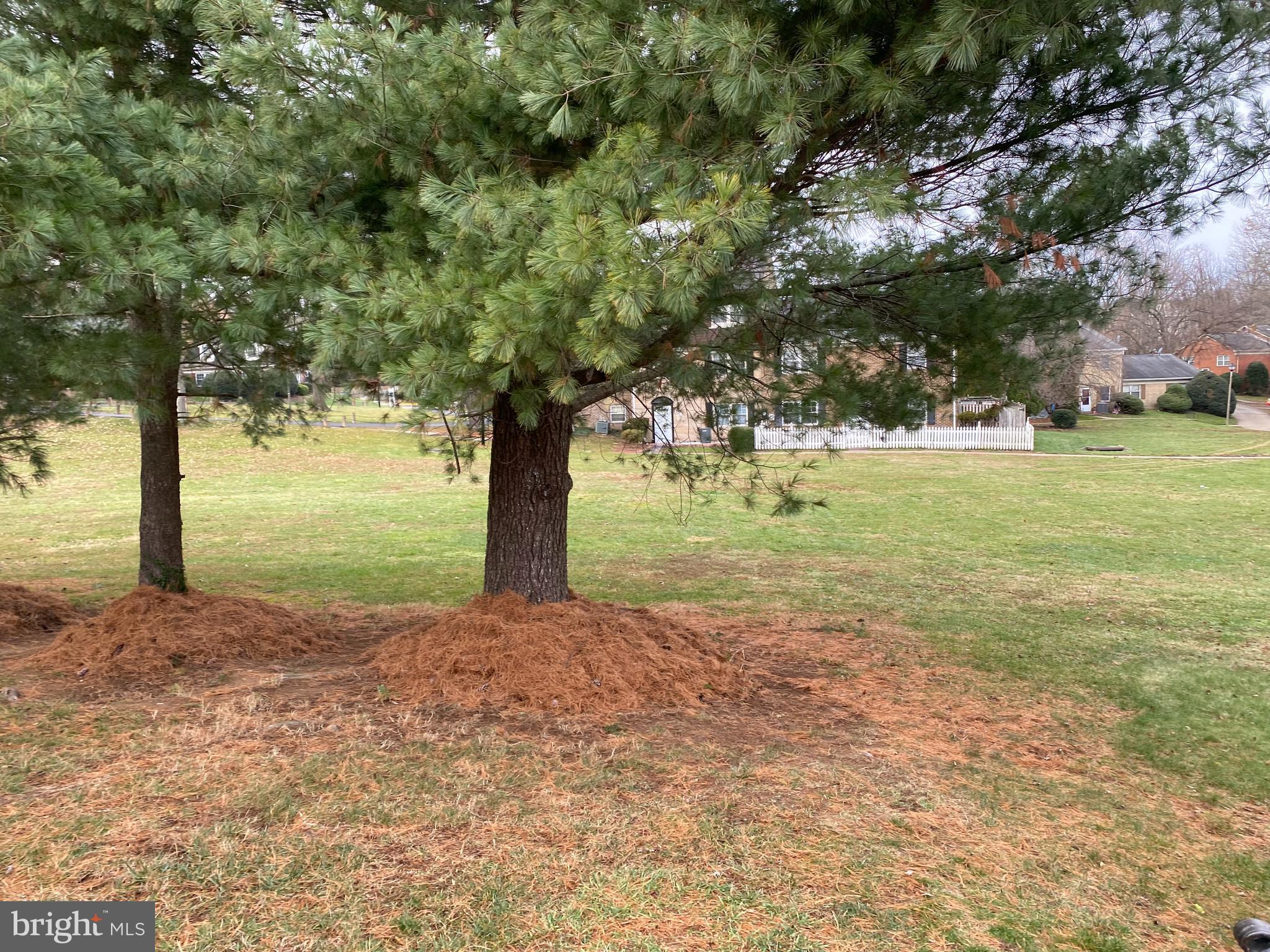 TERRACE TOWNE HOMES OF GUNSTON - Residential Lease