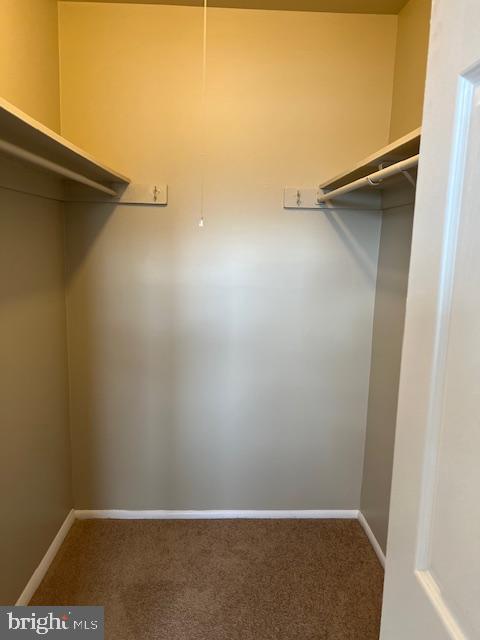 PROPHECY - Residential