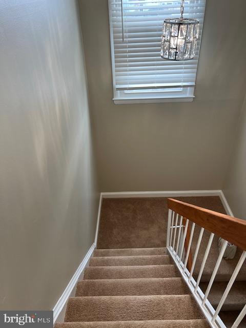 PROPHECY - Residential