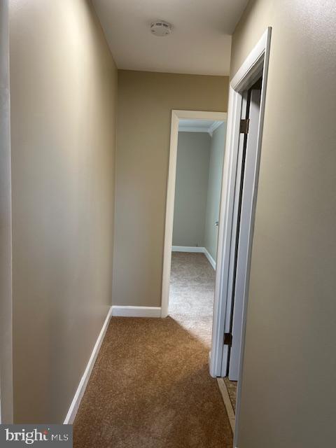 PROPHECY - Residential