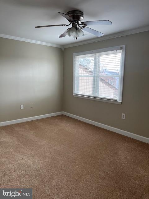 PROPHECY - Residential