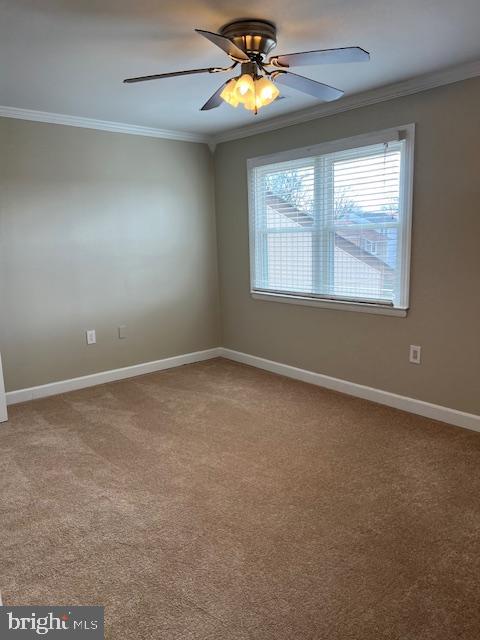 PROPHECY - Residential