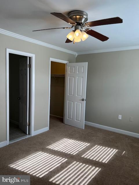 PROPHECY - Residential