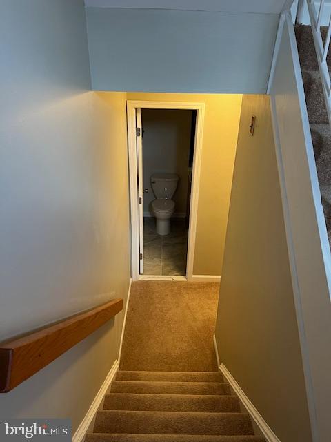 PROPHECY - Residential