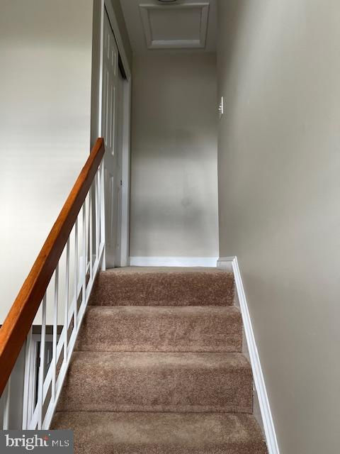 PROPHECY - Residential