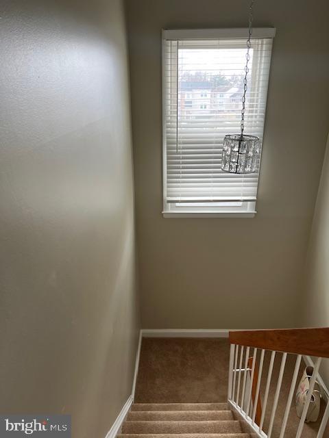 PROPHECY - Residential